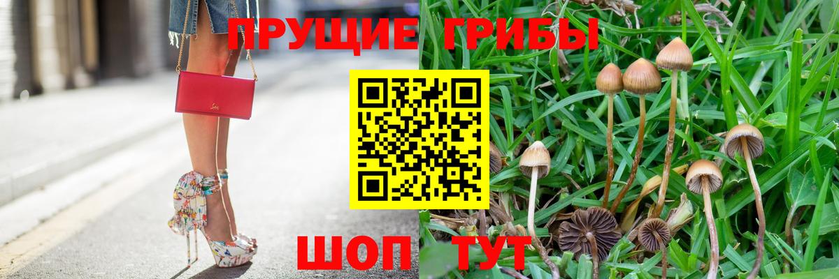 Псилоцибиновые грибы Cubensis  Вход с VPN  Коркино 